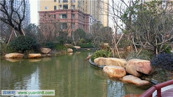 精品園林獎(jiǎng)金獎(jiǎng)項(xiàng)目 和協(xié)·風(fēng)格尚品室外景觀及綠化工程的藝術(shù)與匠心